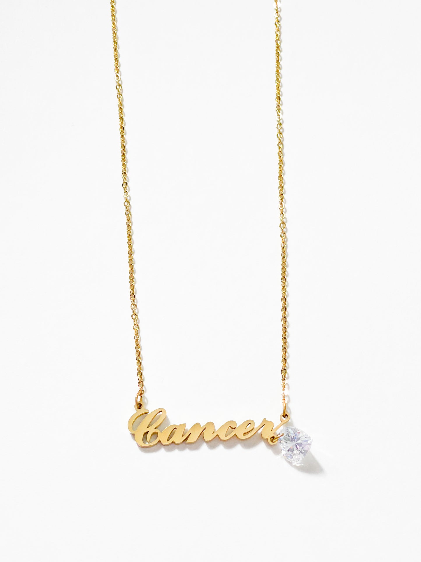 The Zodiac Heart Charm Necklace