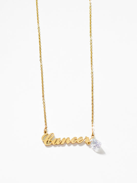 The Zodiac Heart Charm Necklace